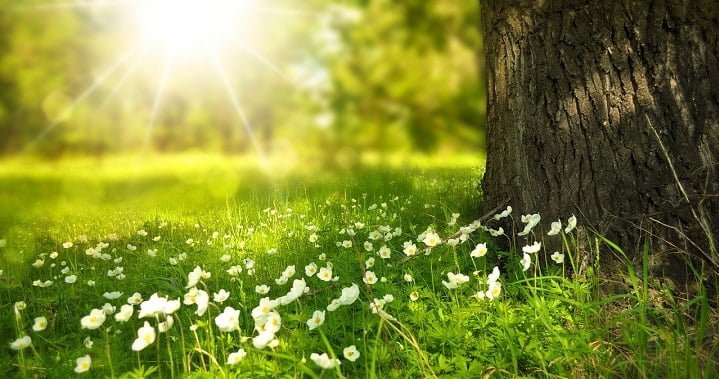 Photo of a garden at a drug and alcohol rehab centre in Gloucester