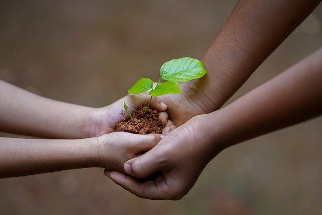 Two people holding a sapling at a drug and alcohol rehab centre in Exeter