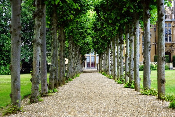 Gardens outside a drug and alcohol rehab in Colchester