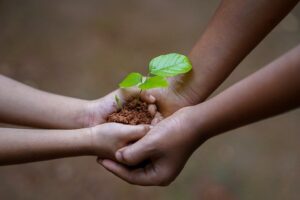 hands-holding-flower