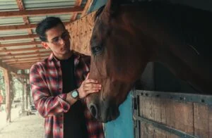 man stroking horse