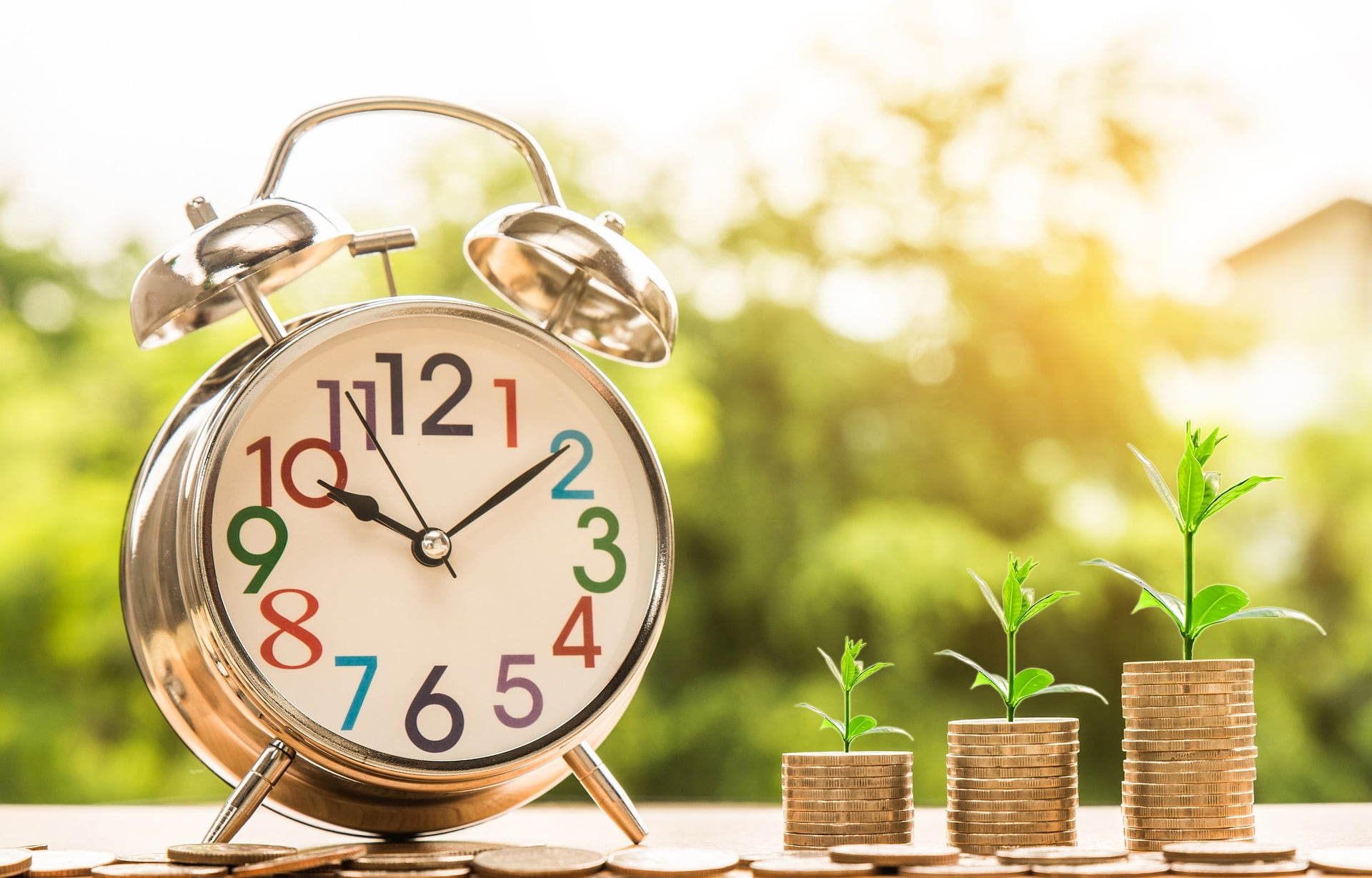 Alarm clock with growing plants