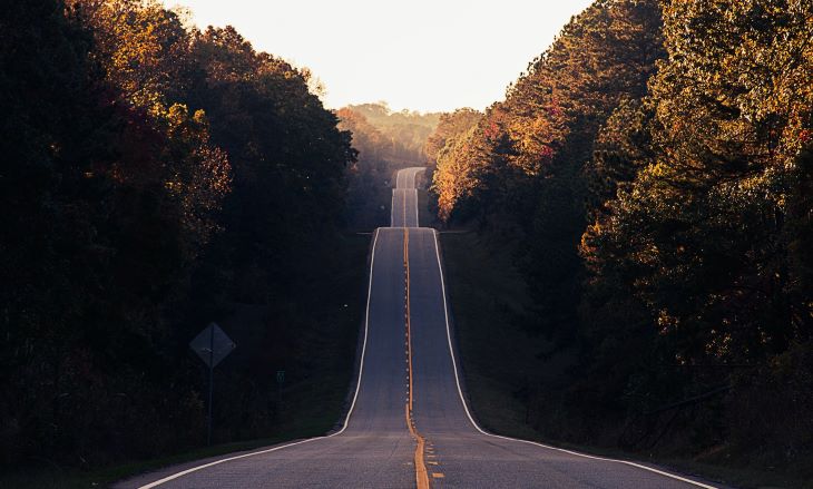 A bumpy road surrounded by forest near Warwickshire