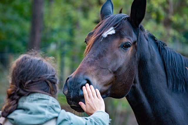 A woman stroking a horse